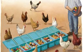 Big Chicken o cómo la apetencia de carne barata pone en peligro nuestra existencia