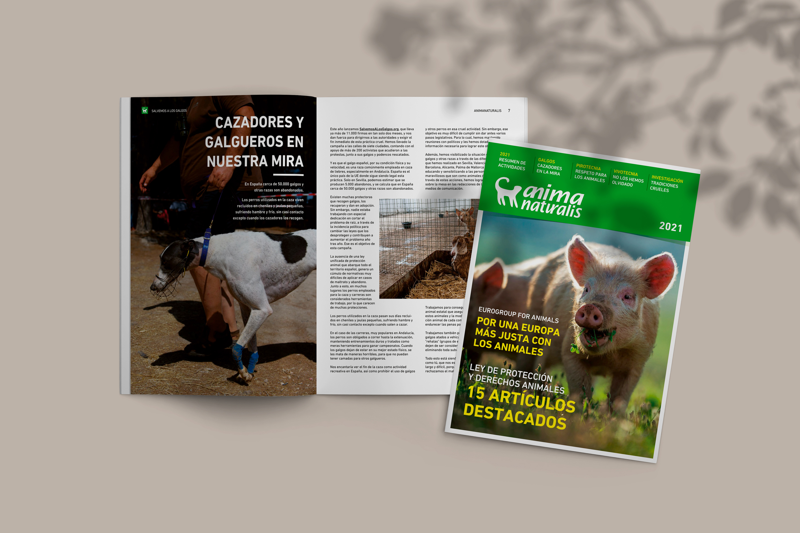 Echa una mirada a todo nuestro trabajo de 2021 a través de nuestra revista anual