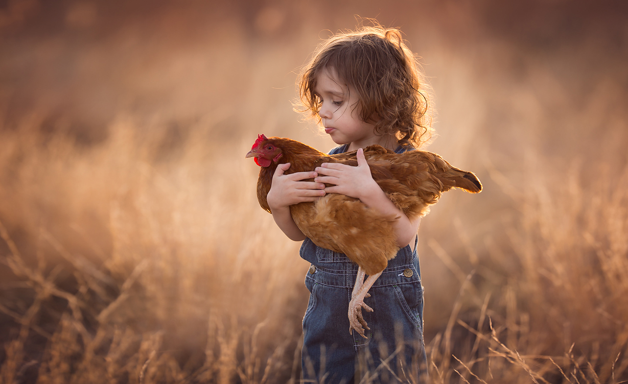 Comer animales es menos aceptable moralmente durante la infancia, indica estudio.