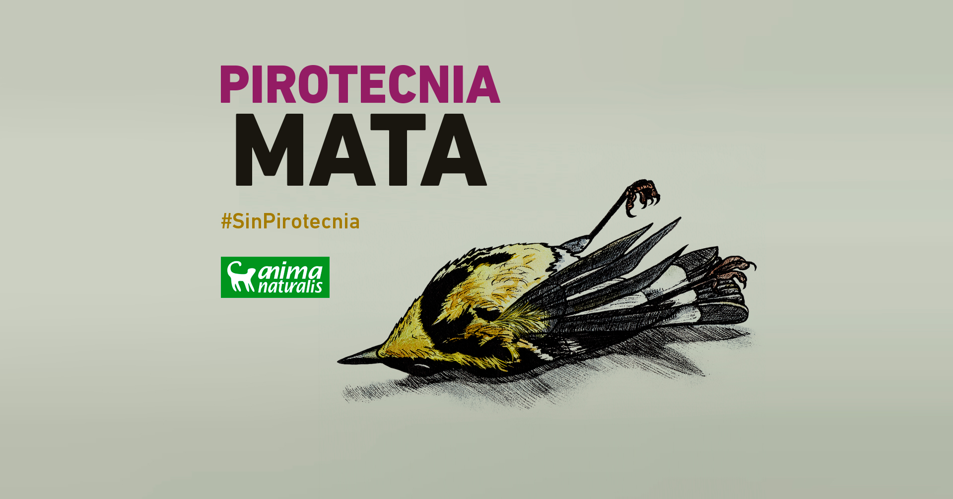 ¡Únete a la protesta contra la pirotecnia en Madrid!