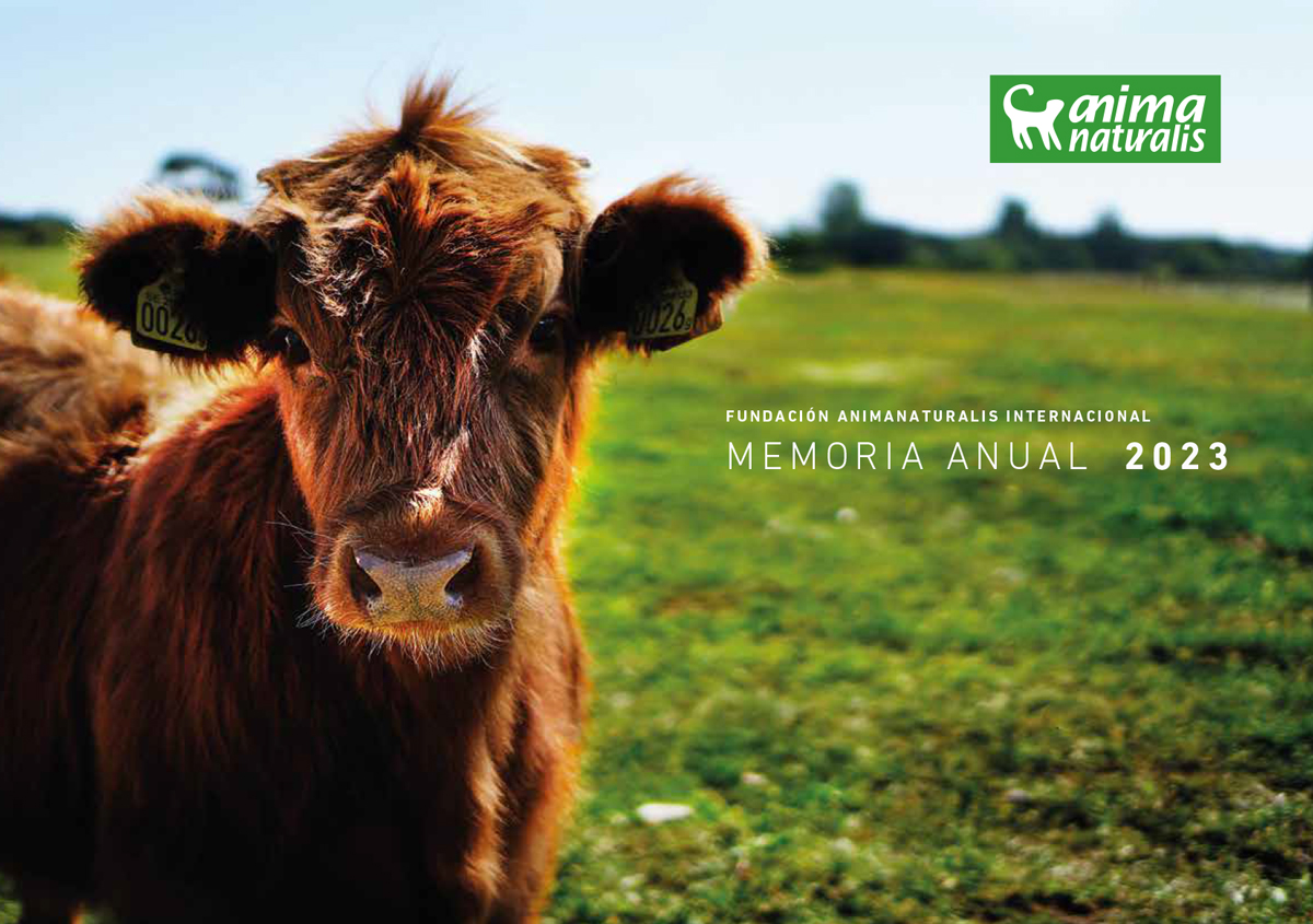 AnimaNaturalis presenta su Memoria 2023: un año lleno de acciones y avances para los animales