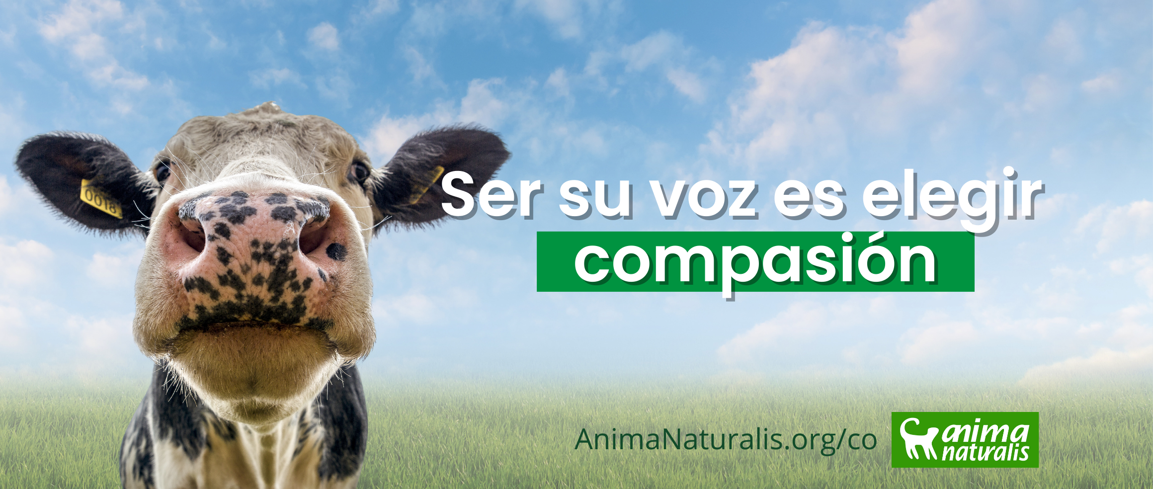 ¿Cómo defender la Tierra ignorando a quienes la habitan?