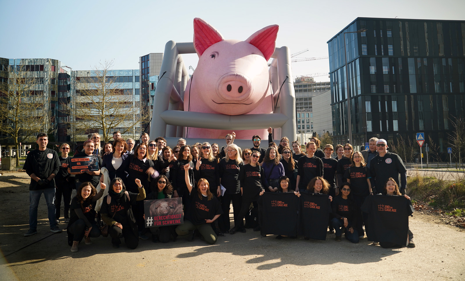 El Tribunal de Justicia de la UE juzga la promesa rota que mantiene a 300 millones de animales en jaulas