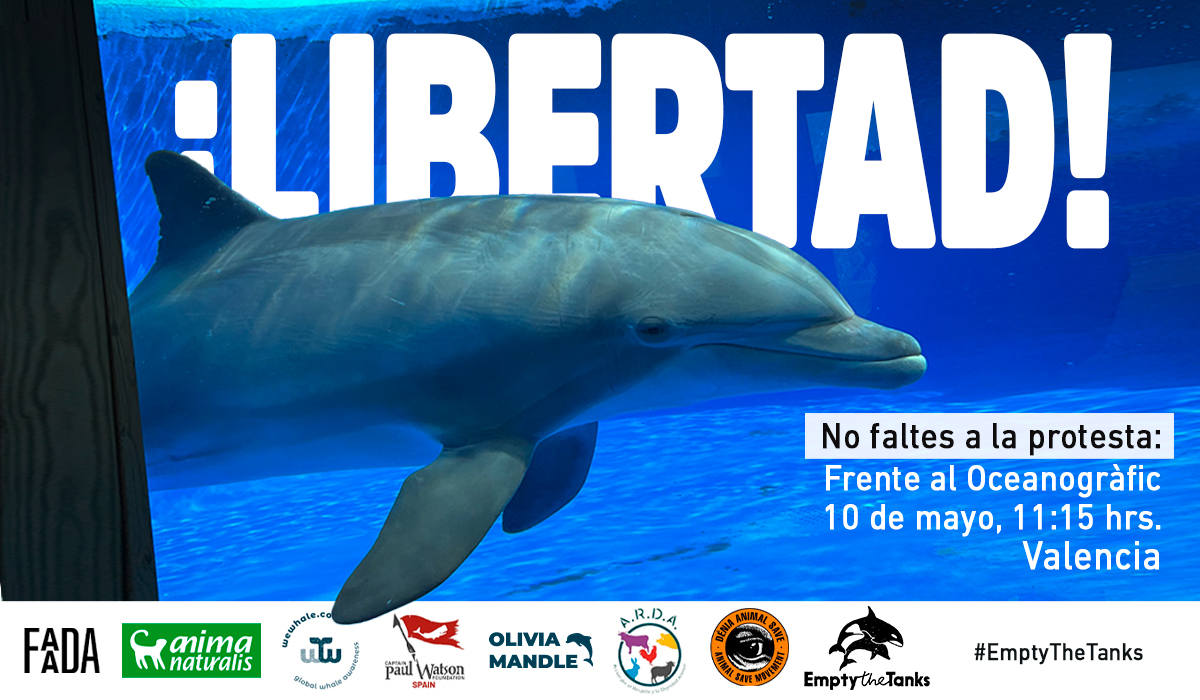 ¡Asiste a la protesta #EmptyTheTanks en Valencia!