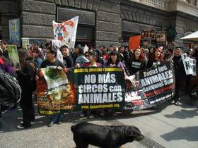 AnimaNaturalis participó en la XI marcha por un Septiembre Sin Crueldad