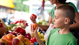 ¿Cuál es dieta la perfecta para salvar el planeta y la salud del ser humano?