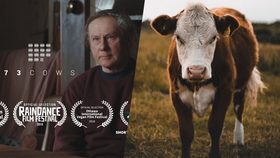 Documental vegano '73 cows' gana premio BAFTA