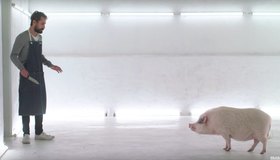 Vea online la película pro-vegana 'Casa de Carne', que obtuvo el primer premio en festival de cortos