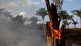 Finlandia propone a la UE prohibir las importaciones de carne de Brasil por los incendios del Amazonas