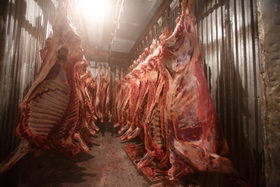 Estudio que anunciaba que  'la carne es saludable' tiene vínculos con la industria
