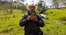 Defensores de animales, las otras víctimas de la violencia en Colombia