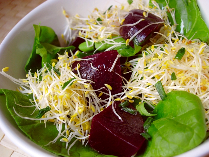 Ensalada de alfalfa, remolacha y espinacas 