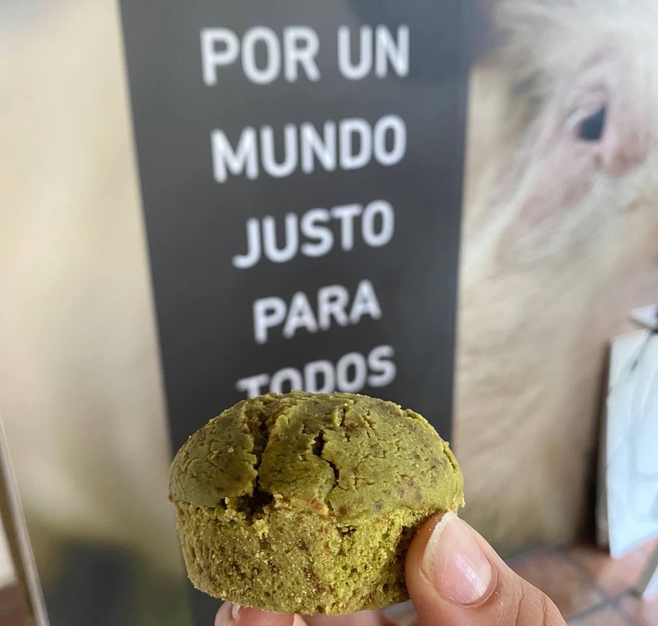 Bizcochitos de Té Matcha 