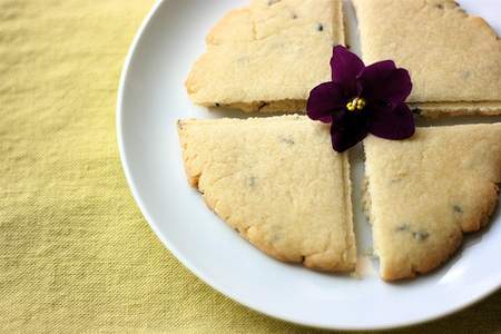 Bizcocho de lavanda