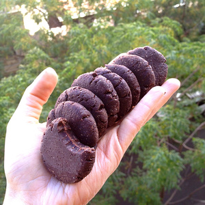 Galletas mágicas al chocolate